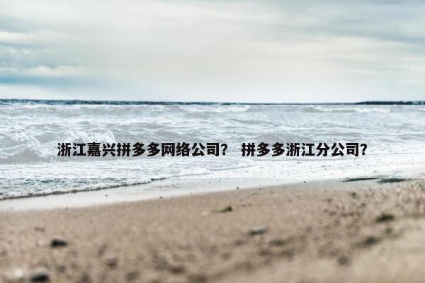 浙江嘉兴拼多多网络公司？ 拼多多浙江分公司？