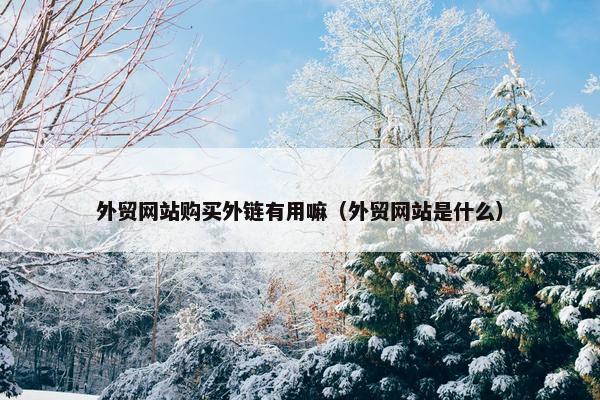 外贸网站购买外链有用嘛（外贸网站是什么）
