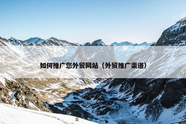 如何推广您外贸网站（外贸推广渠道）
