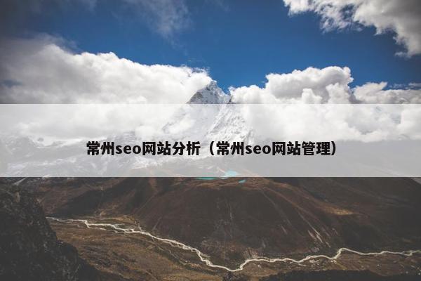 常州seo网站分析（常州seo网站管理）